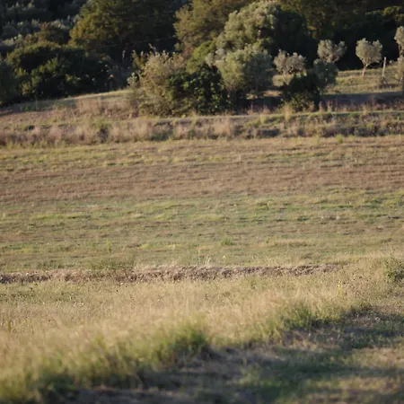 La Petrosa Farm stay Ceraso