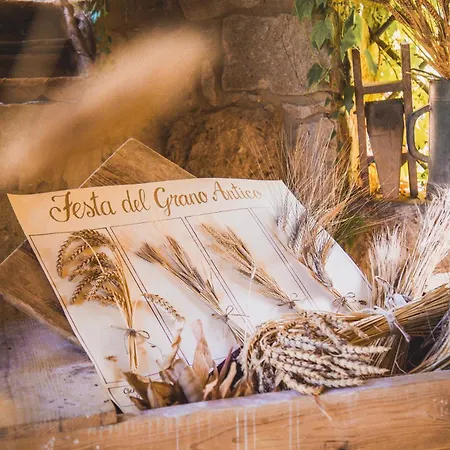 La Petrosa Farm stay *