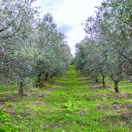 La Petrosa Farm stay Ceraso