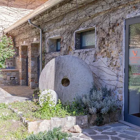 Farm stay La Petrosa Ceraso