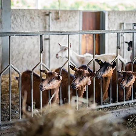 Farm stay La Petrosa