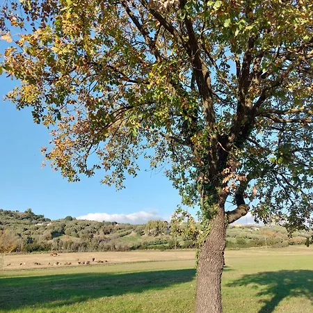 La Petrosa Farm stay Ceraso