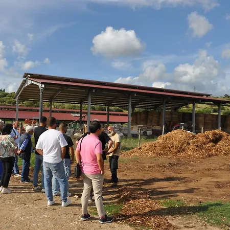 Farm stay La Petrosa Ceraso