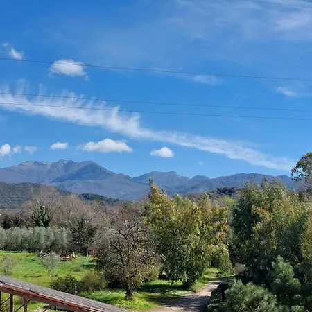 La Petrosa *